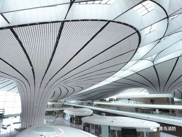 利来国际app(中国)最给力的老牌下载