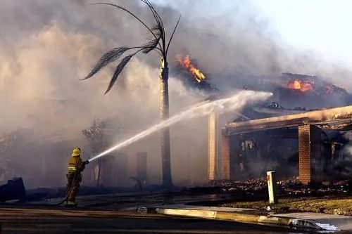 利来国际app(中国)最给力的老牌下载