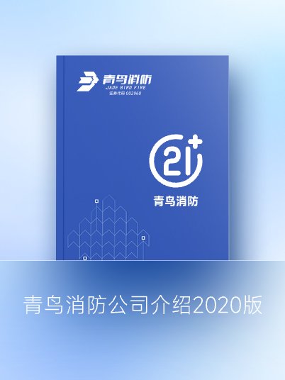 利来囯际公司先容2020版
