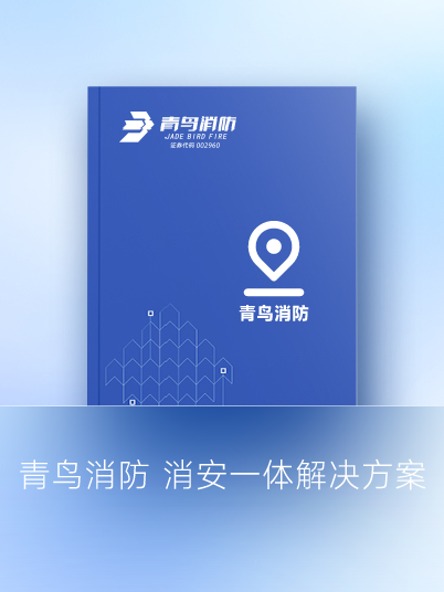 利来囯际 消安一体解决计划