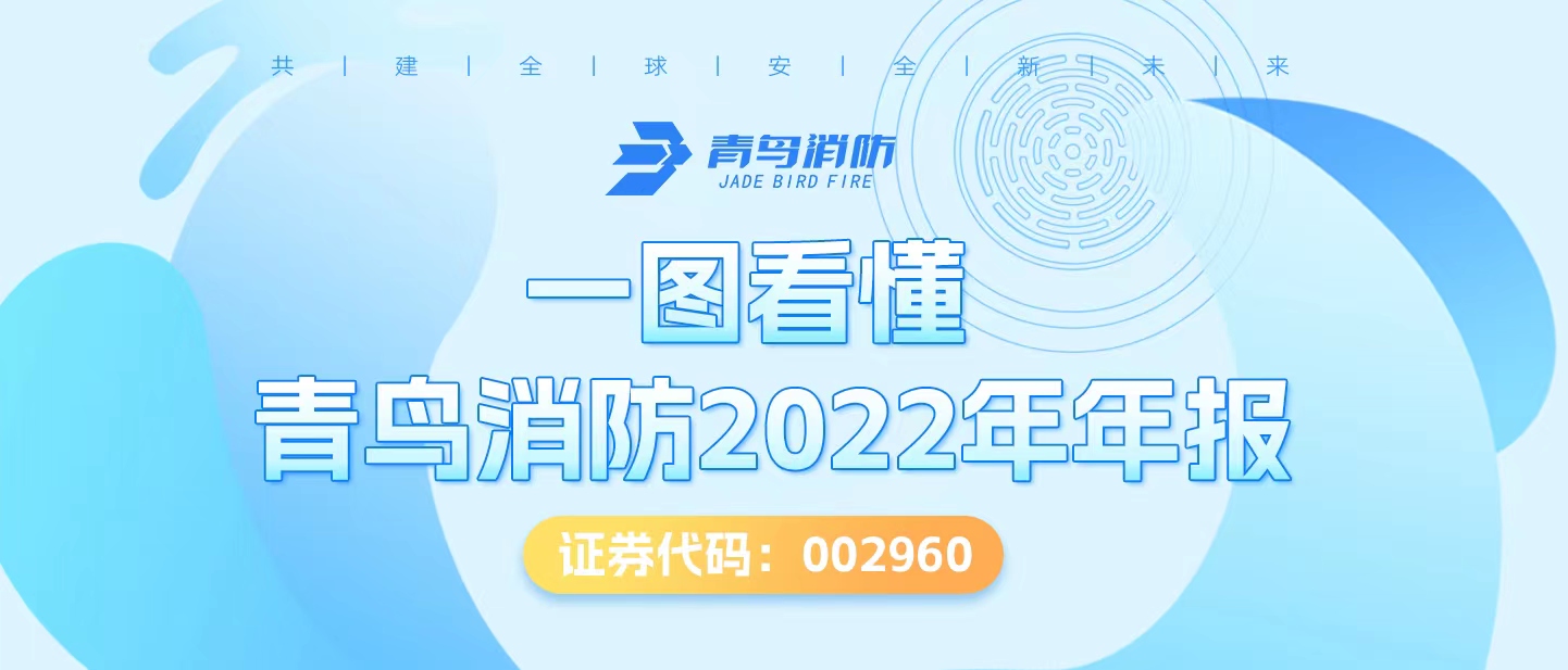一图看懂利来囯际2022年年报