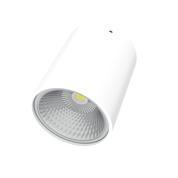 利来国际app(中国)最给力的老牌下载