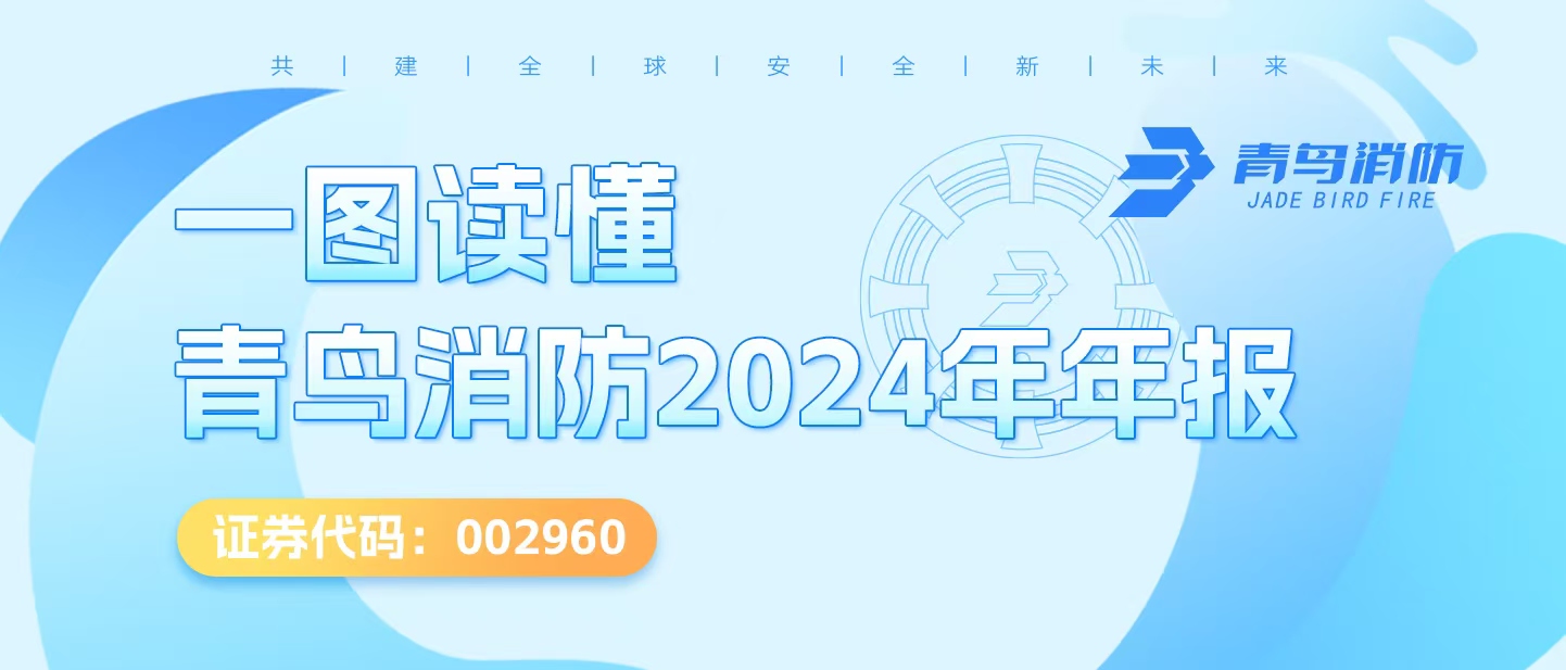 一图读懂利来囯际2024年年报
